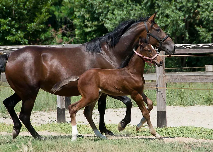 Luer - Con Vista Sul Iseo Dom wakacyjny